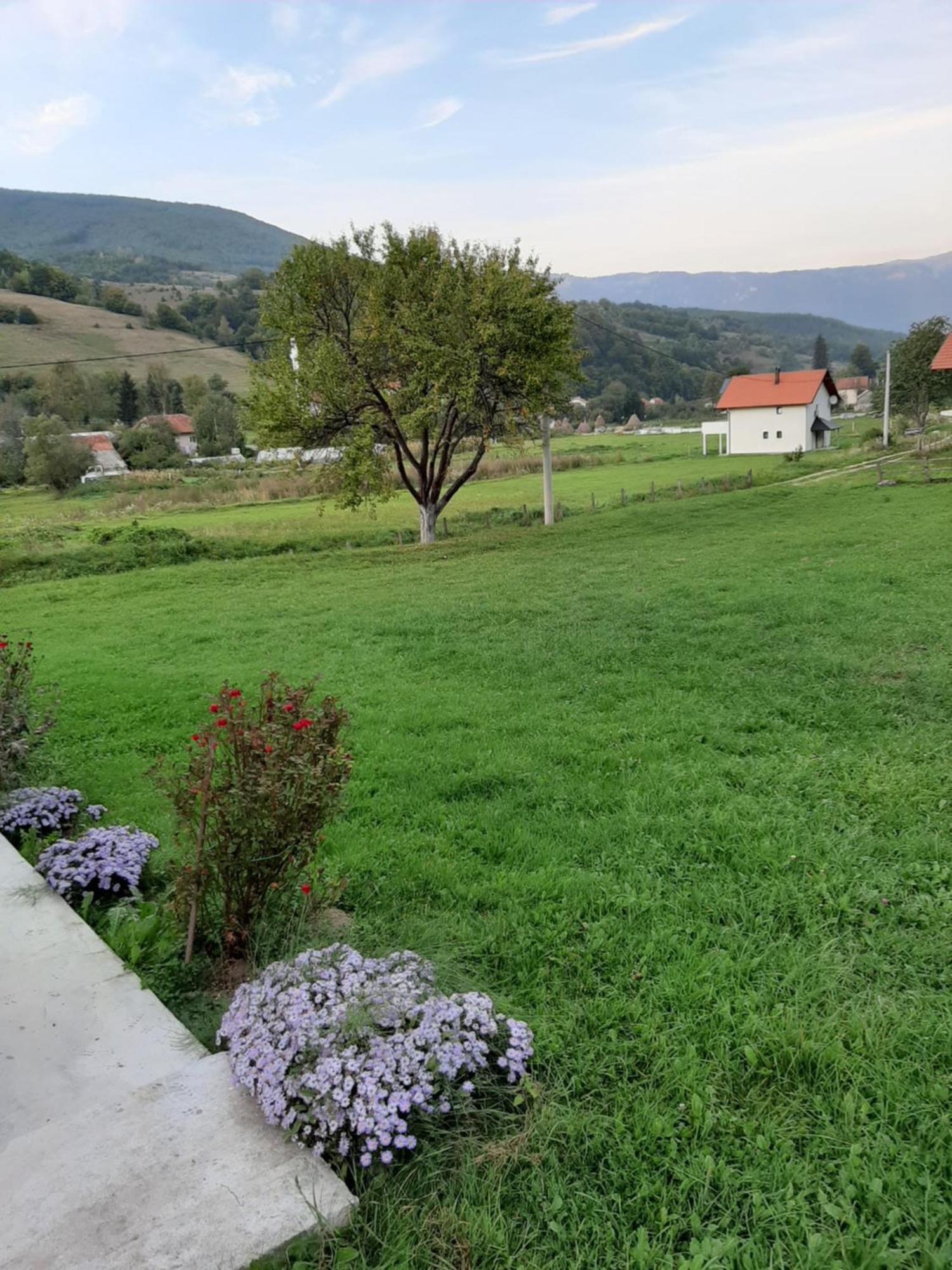 Goles * Travnik
